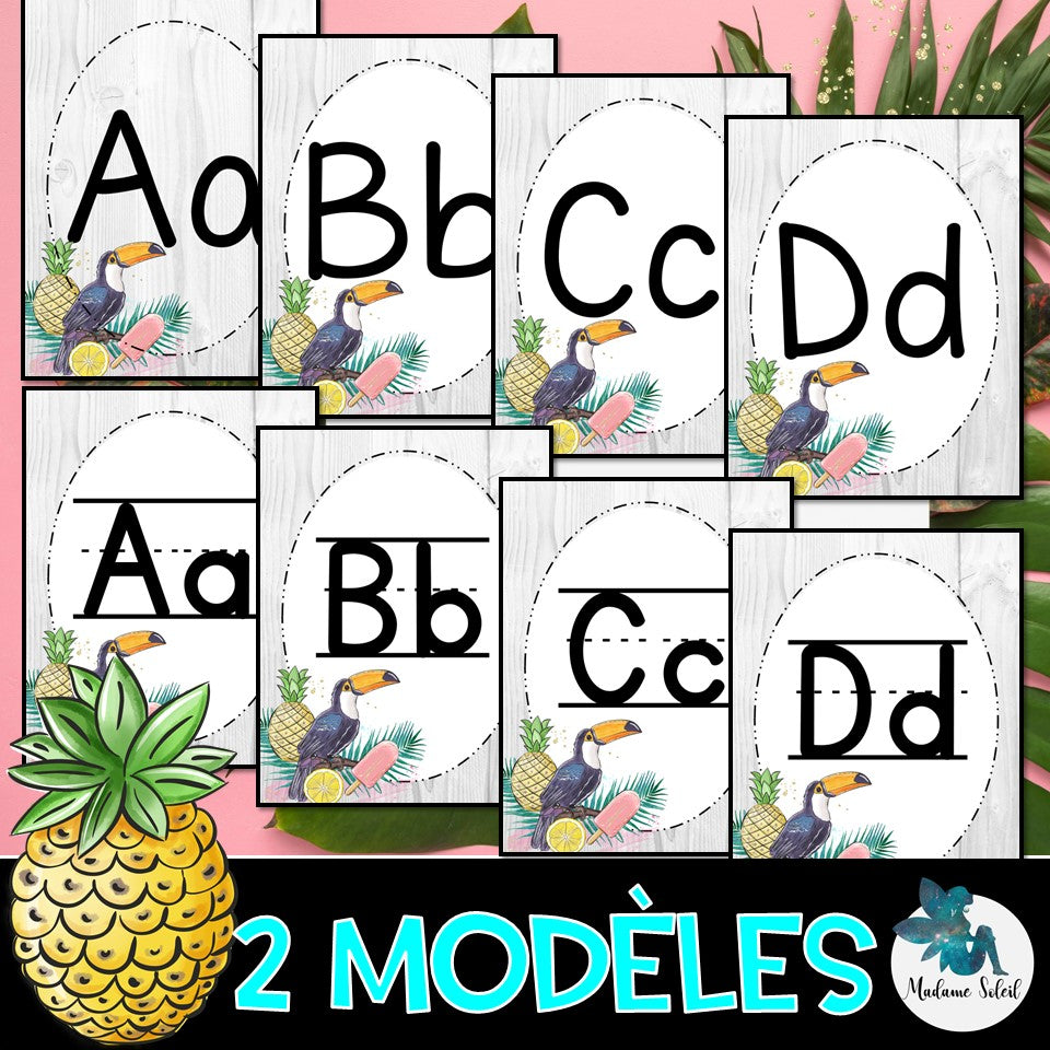 Abécédaire, lettres de l'alphabet - Script