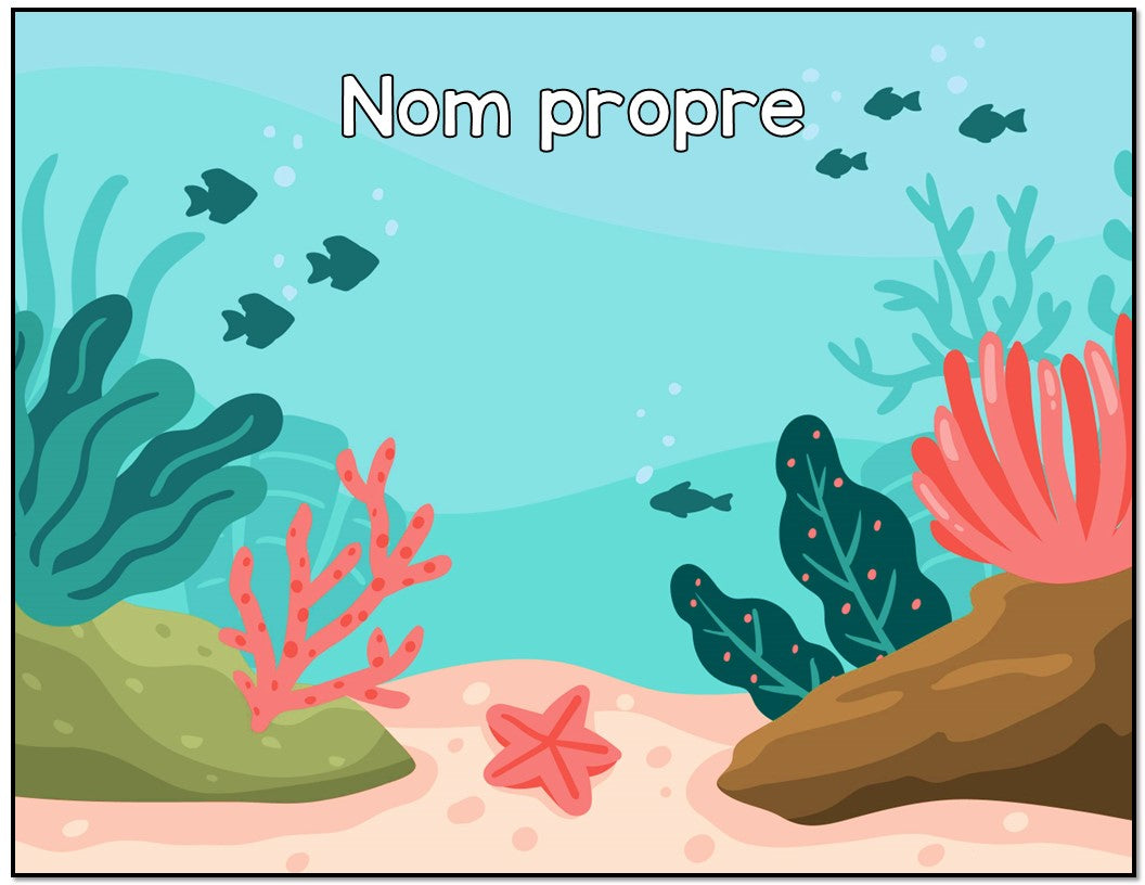 Classes de mots à la plage 2e année