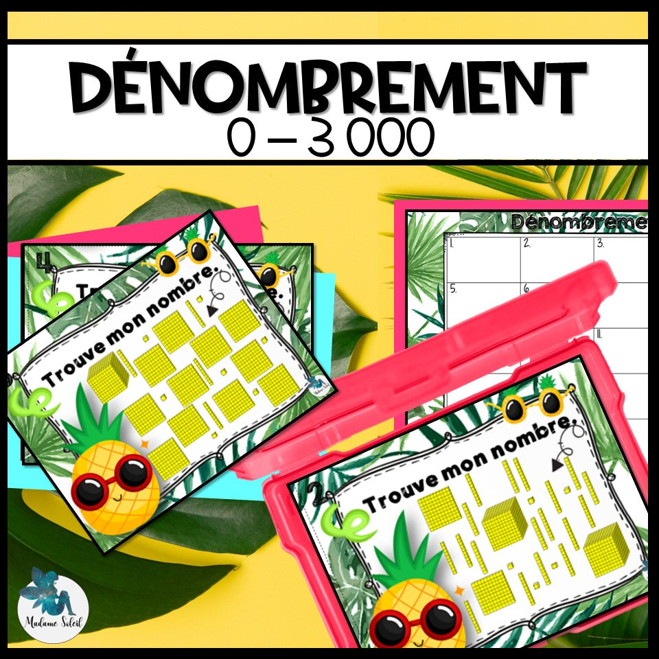 Regrouper et dénombrer – 0 à 3000. Thème tropical