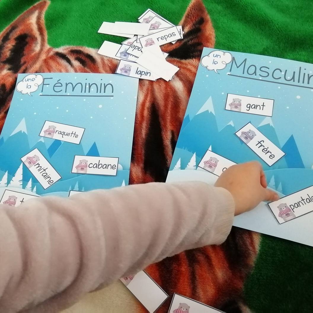 Le genre des noms communs en 2e année : Féminin et masculin