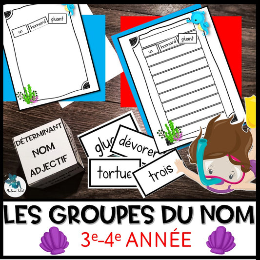 Le groupe du nom : les différents types