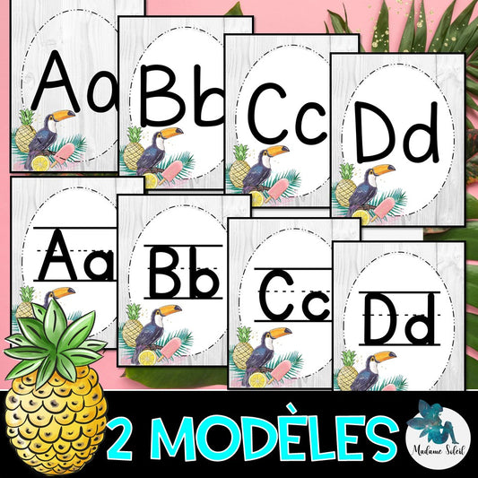 Abécédaire, lettres de l'alphabet - Script