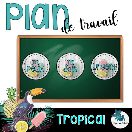 Plan de travail Tropical