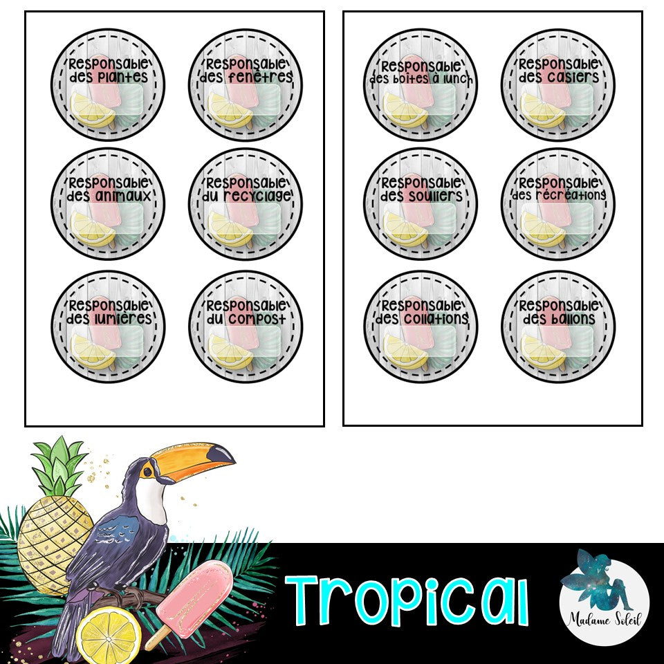 Responsabilités de classes - Thème tropical