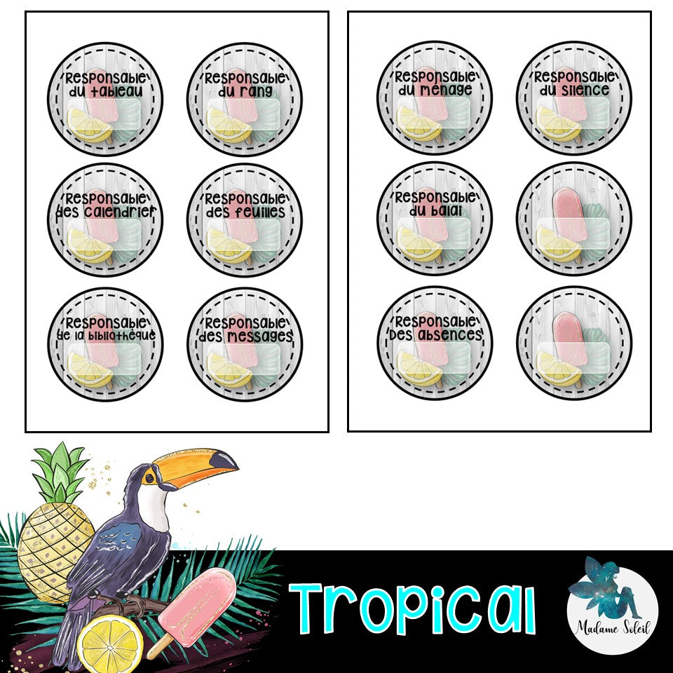 Responsabilités de classes - Thème tropical