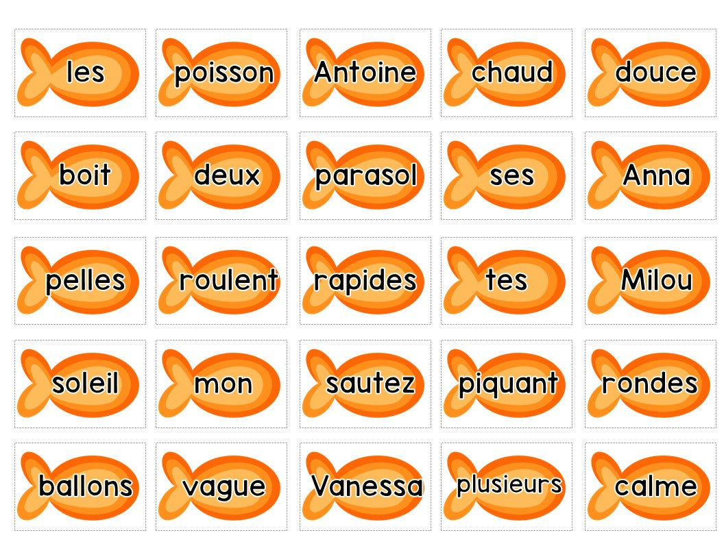 Classes de mots de la plage 2e - 3e année