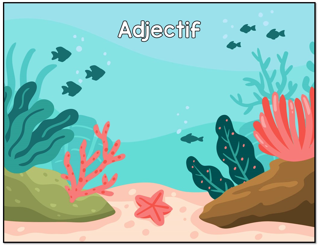 Classes de mots de la plage 2e - 3e année