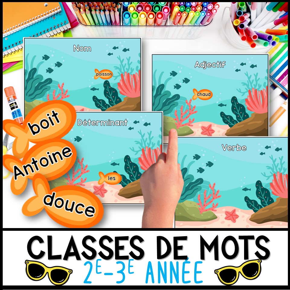 Classes de mots de la plage 2e - 3e année