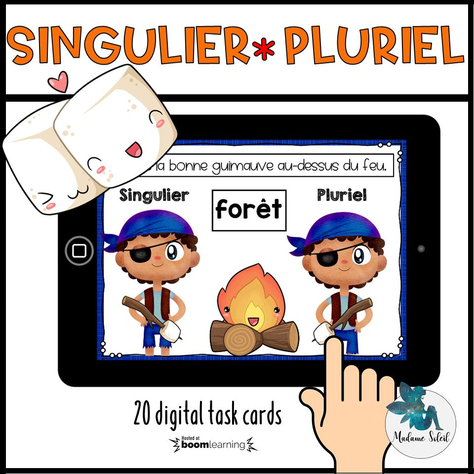 Singulier ou pluriel au camping - Boom Cards