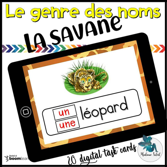L'accord des mots en Safari BOOM CARDS