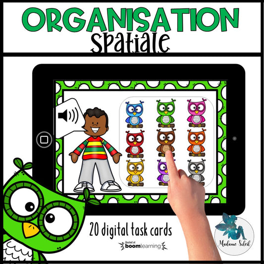 Repérage spatial des hiboux Boom Cards