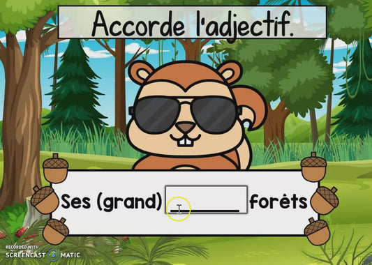 Accord de l’adjectif – Boom Cards